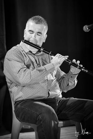 stage flute stage musique irlandaise boeschepe musique irlandaise irish trad stage musique traditionnelle